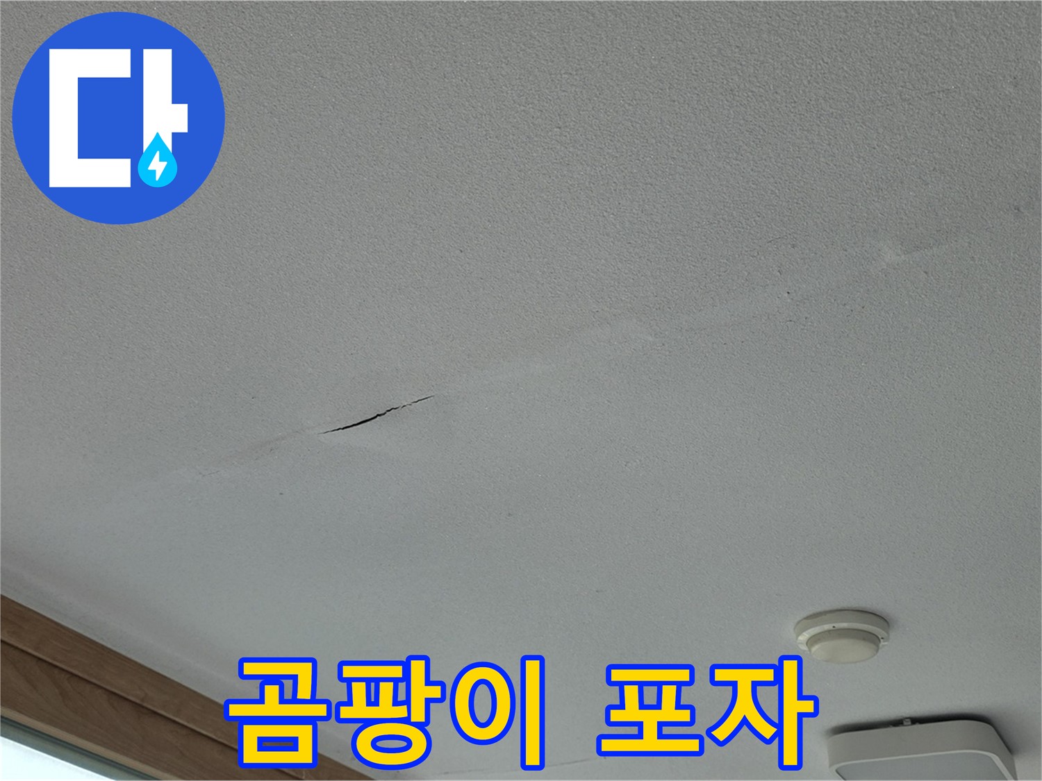 포천시 일동면 아파트 - 공기 중 곰팡이 포자