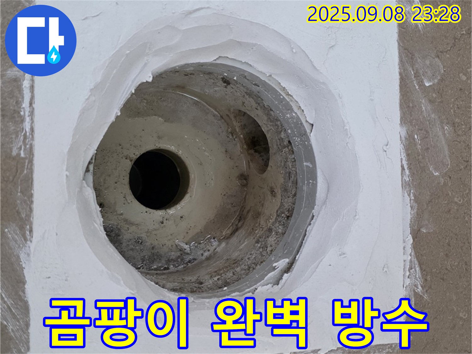 포천시 일동면 아파트 욕실 배수구 누수 - 곰팡이 제거 후 완벽한 방수 시공으로 깨끗하게 해결