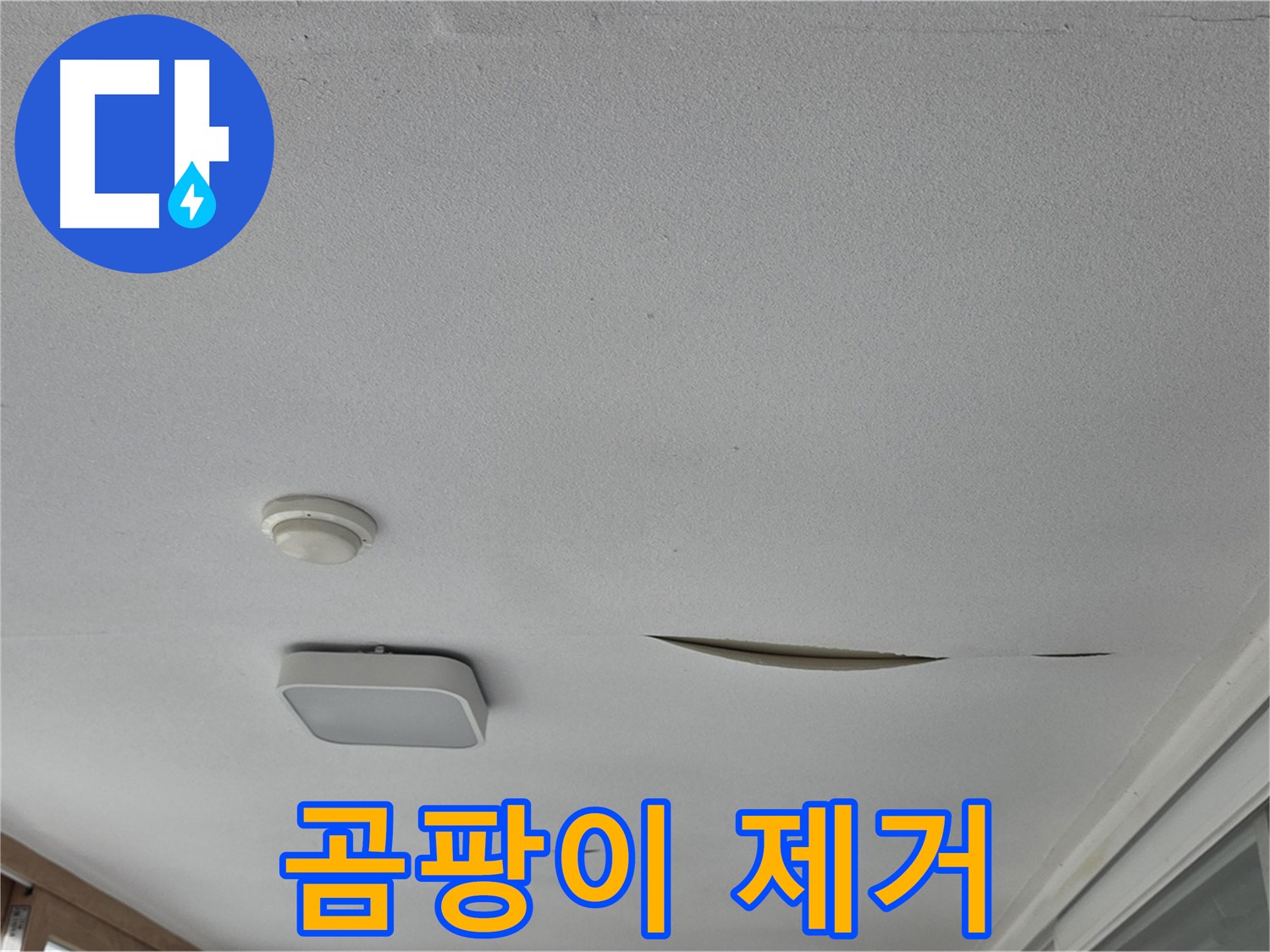 포천시 일동면 아파트 천장 누수 - 석고보드 곰팡이 제거
