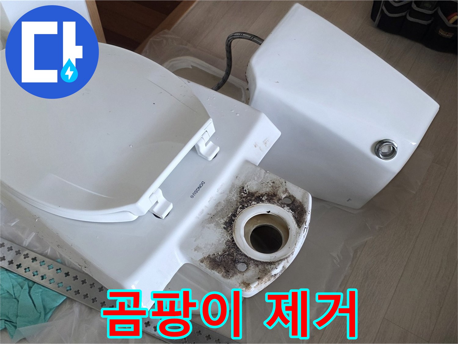 포천시 일동면 운악청계로 기산베스트빌 아파트 - 변기 내부 곰팡이와 물때 제거 작업 진행 중