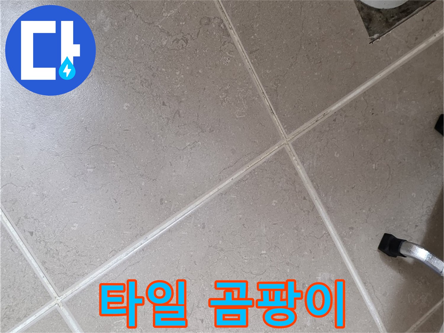 포천시 일동면 운악청계로 욕실 배수구 주변 타일 곰팡이 확인 - 습한 환경이 지속되면 발생합니다.