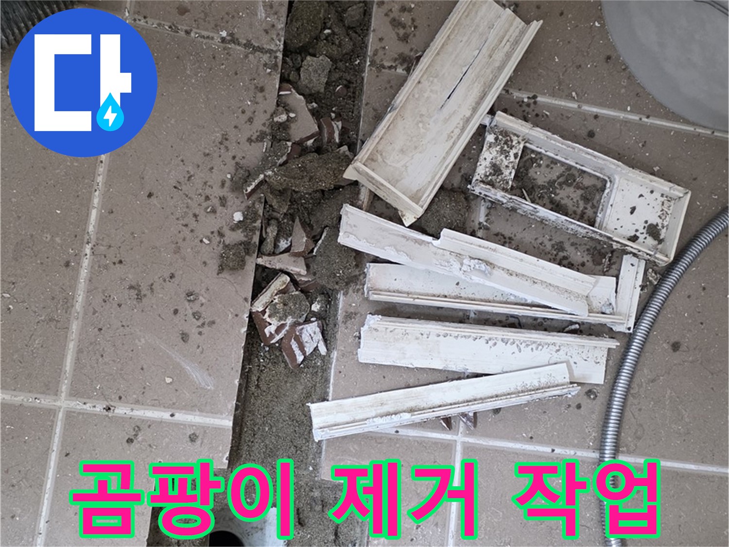 포천시 트랜치 철거 후 배수구 주변 곰팡이 깨끗하게 제거 작업