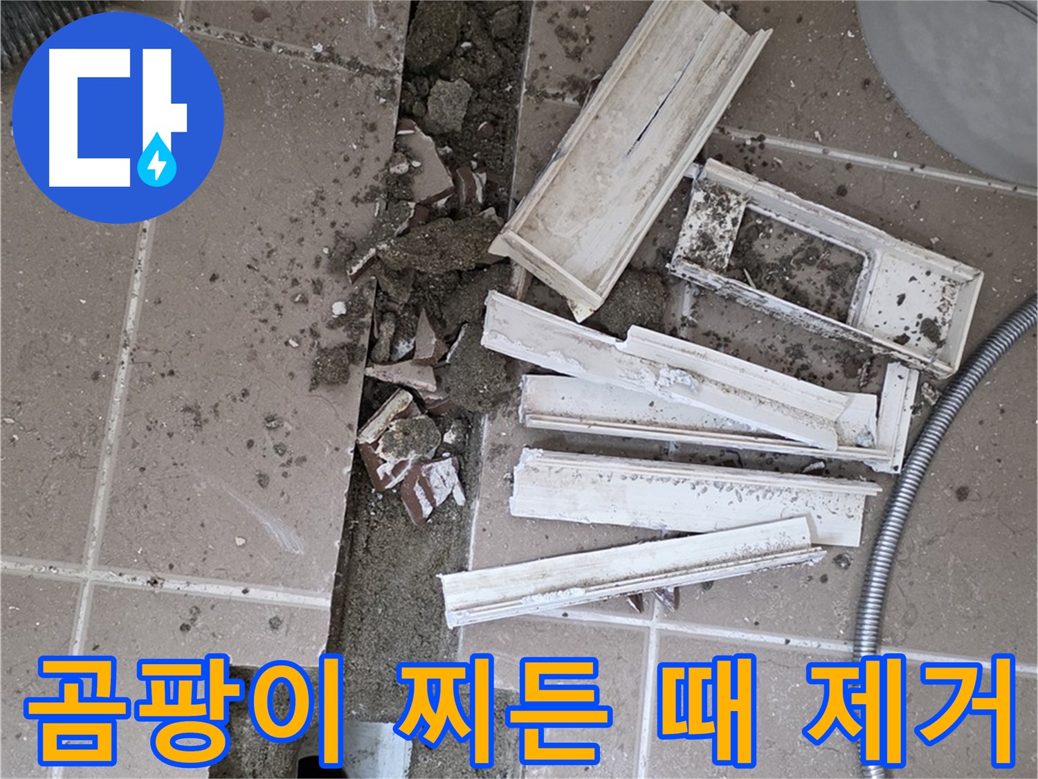 포천시 트랜치 철거 후 배수구 주변 곰팡이와 찌든 때 완벽 제거
