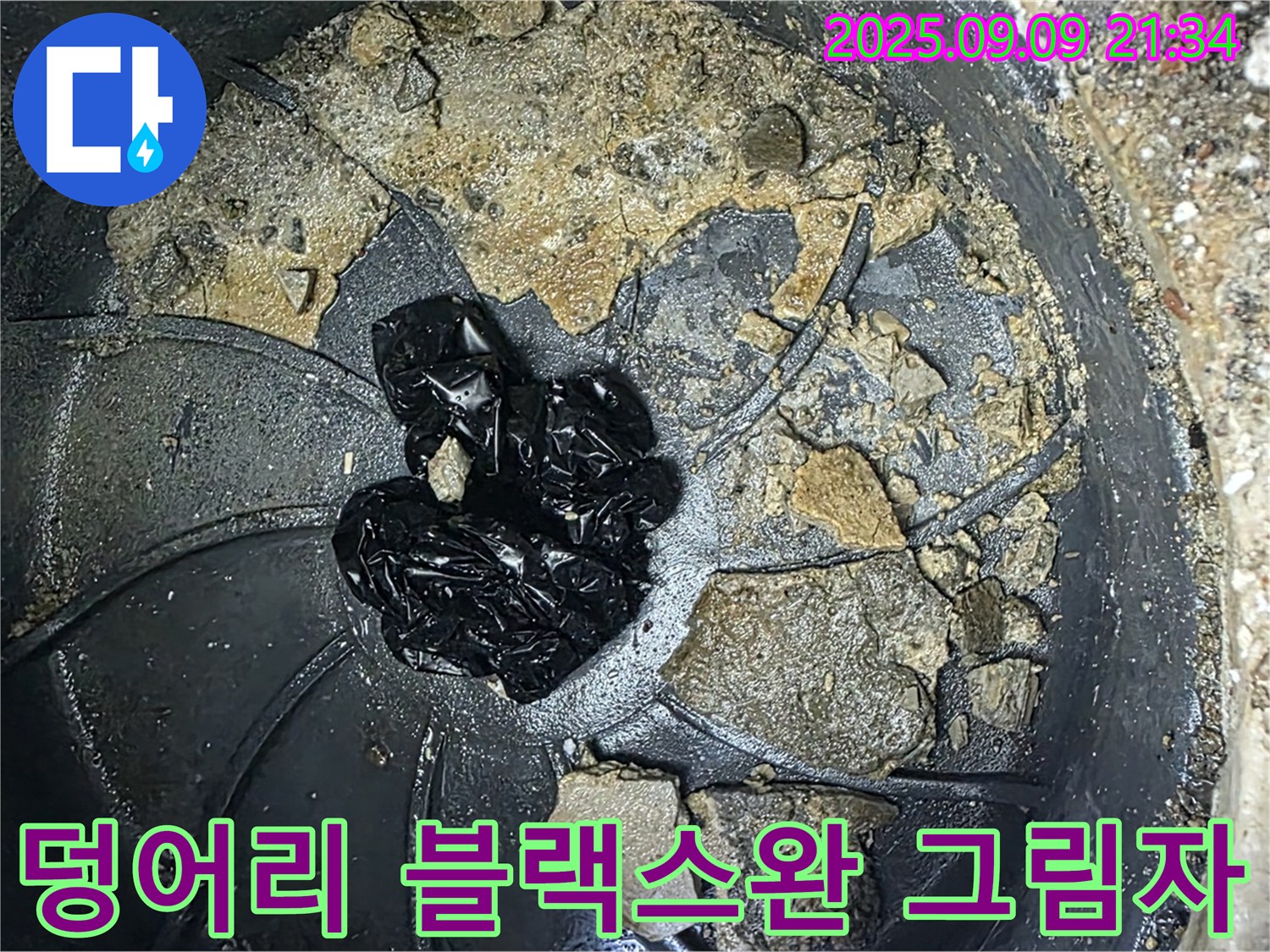 배수구 속 검은 덩어리 - 누수 블랙스완의 그림자가 드리우고 있습니다!