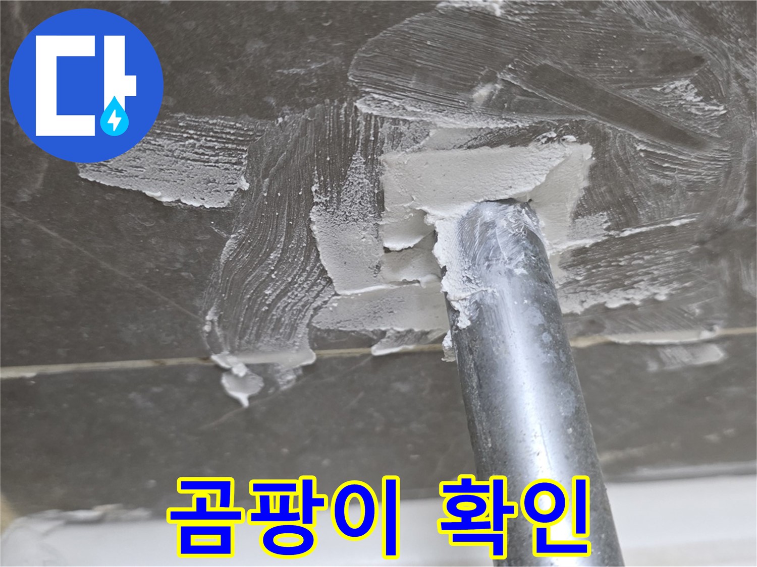 백시멘트 제거 후 곰팡이 - 철저한 제거