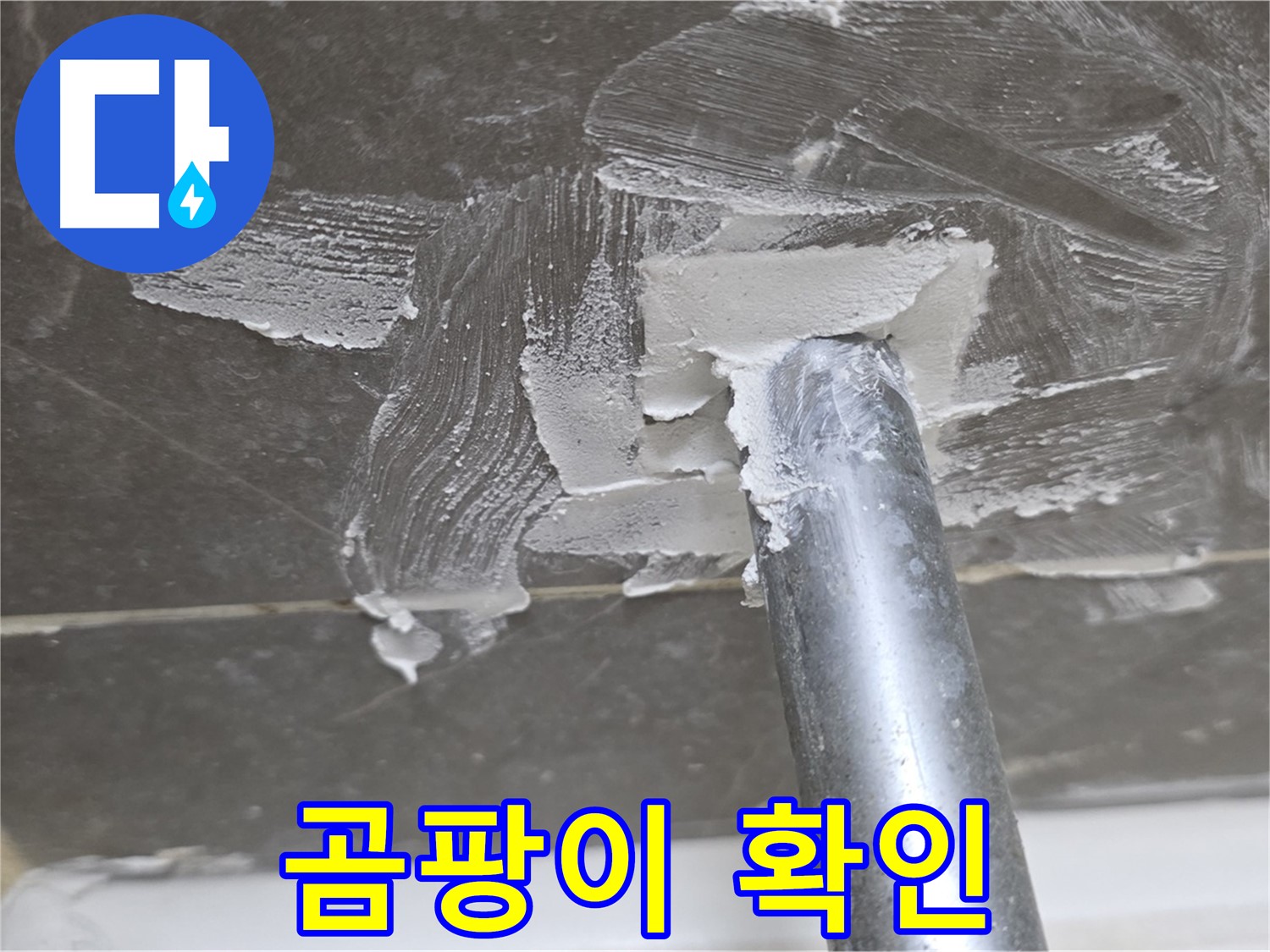 백시멘트 제거 후 곰팡이 - 철저한 제거