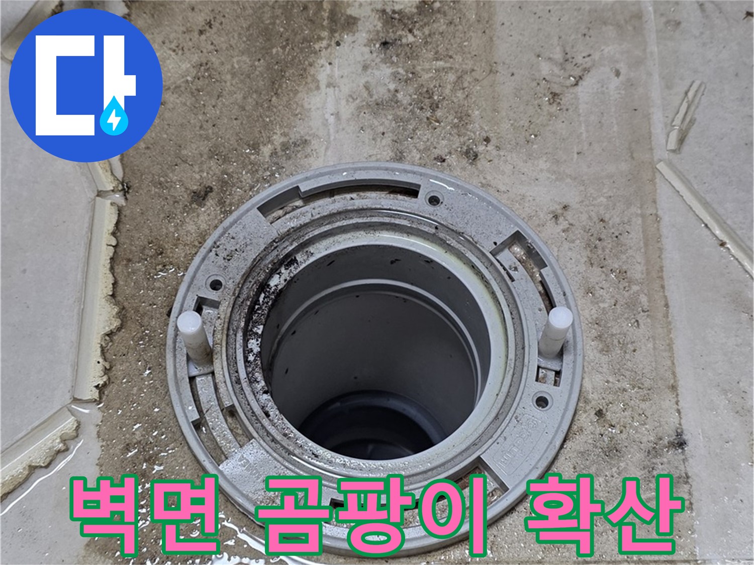 변기 뒤 벽면 - 벽지 손상과 함께 곰팡이가 심하게 확산되었습니다.