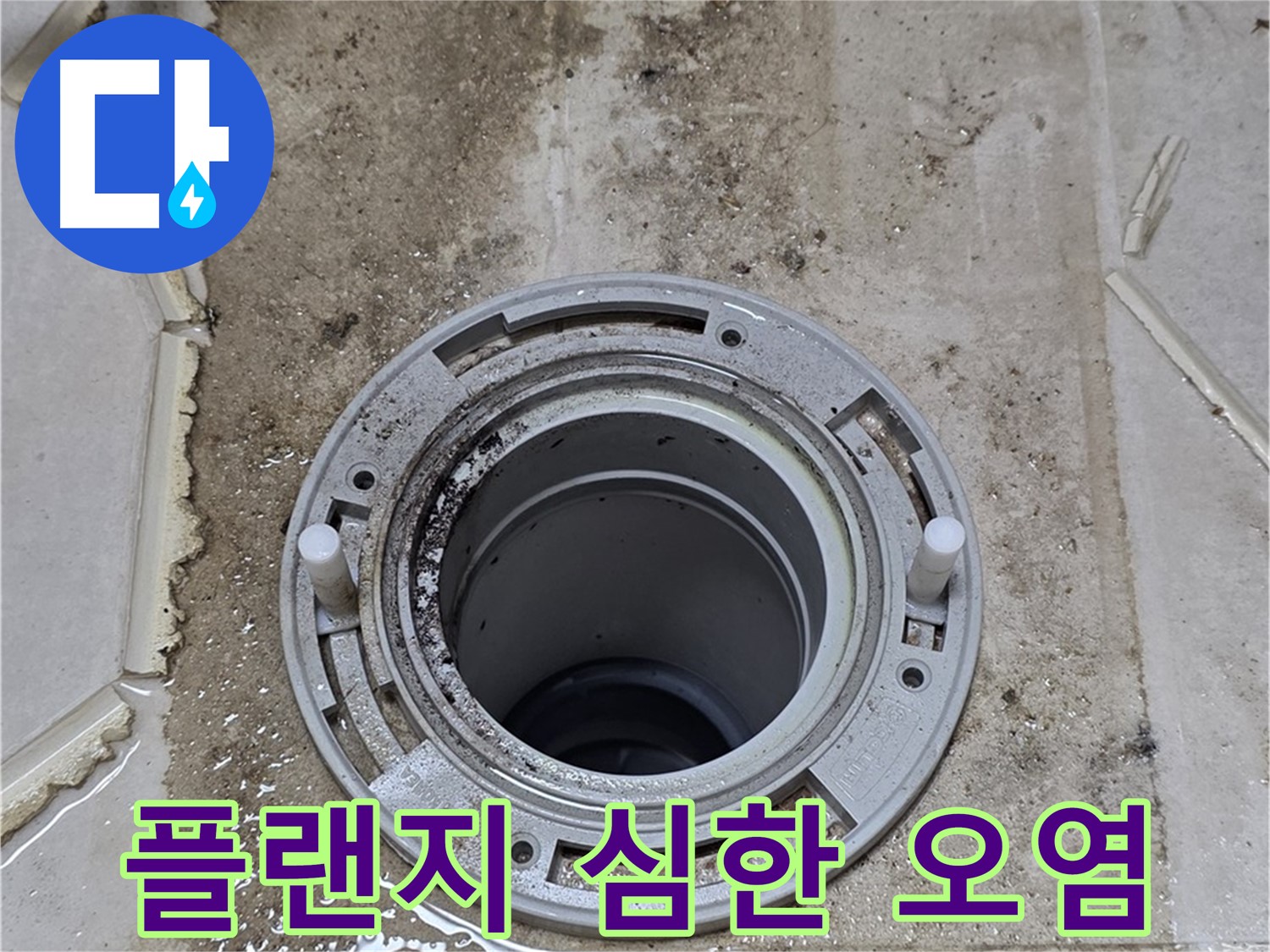 변기 플랜지 주변 심각한 오염 - 누수 장기화로 인한 구조적 손상이 극심하게 우려됩니다.