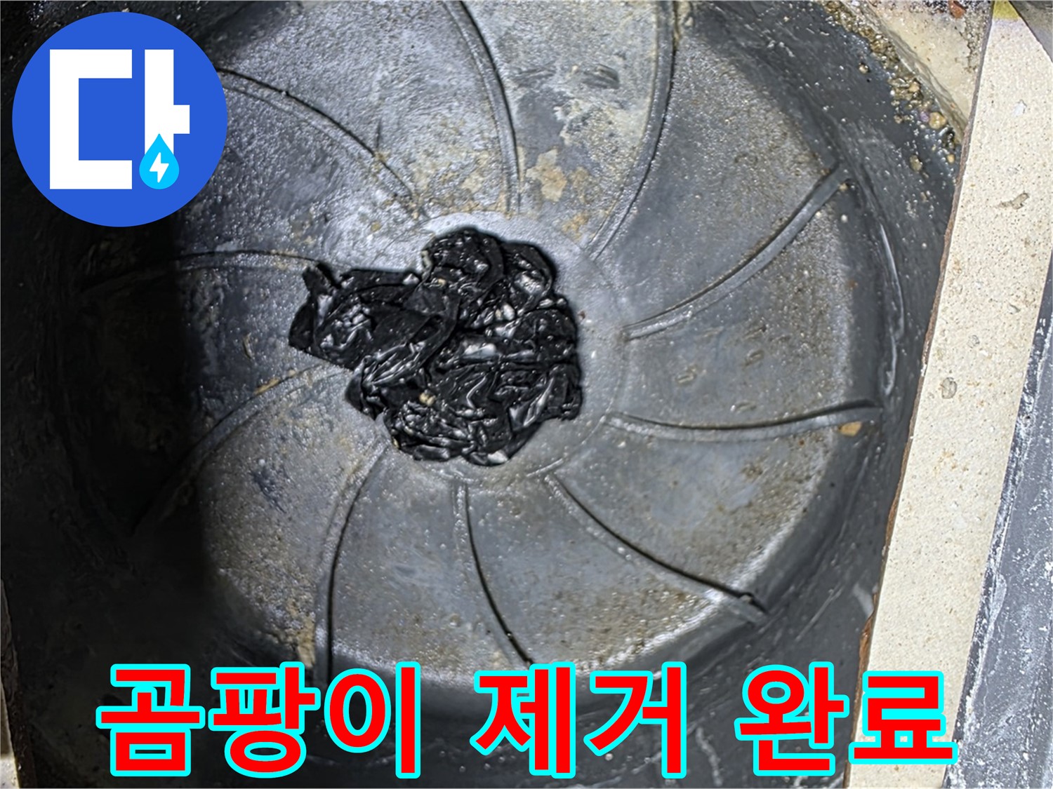 세탁기 배수구 - 곰팡이 찌꺼기 완벽 제거!