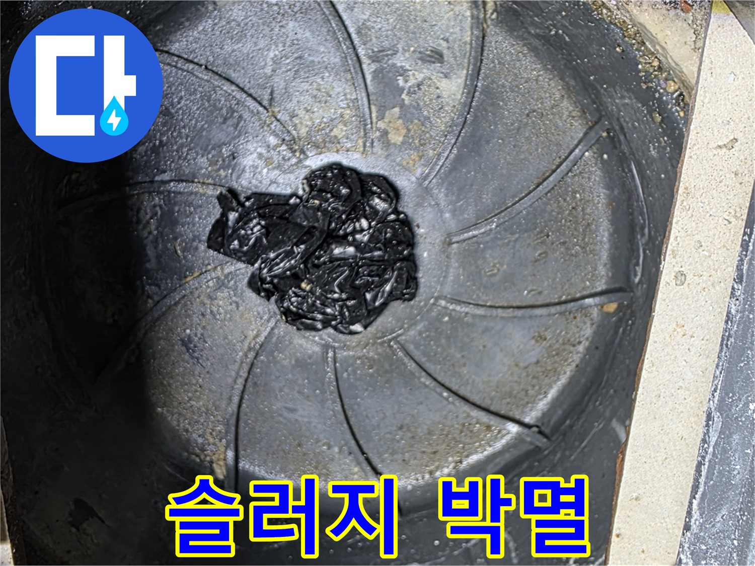 세탁기 하수구 - 곰팡이 슬러지 박멸 작전!