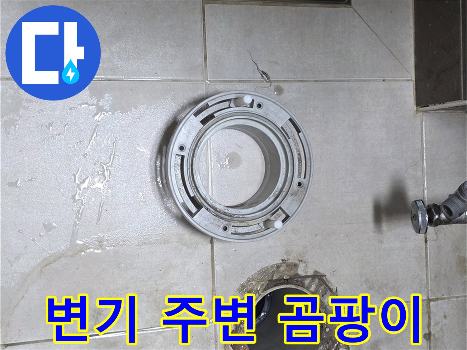 양주 옥정 아파트 변기 누수 - 변기 주변 곰팡이 발생 확인