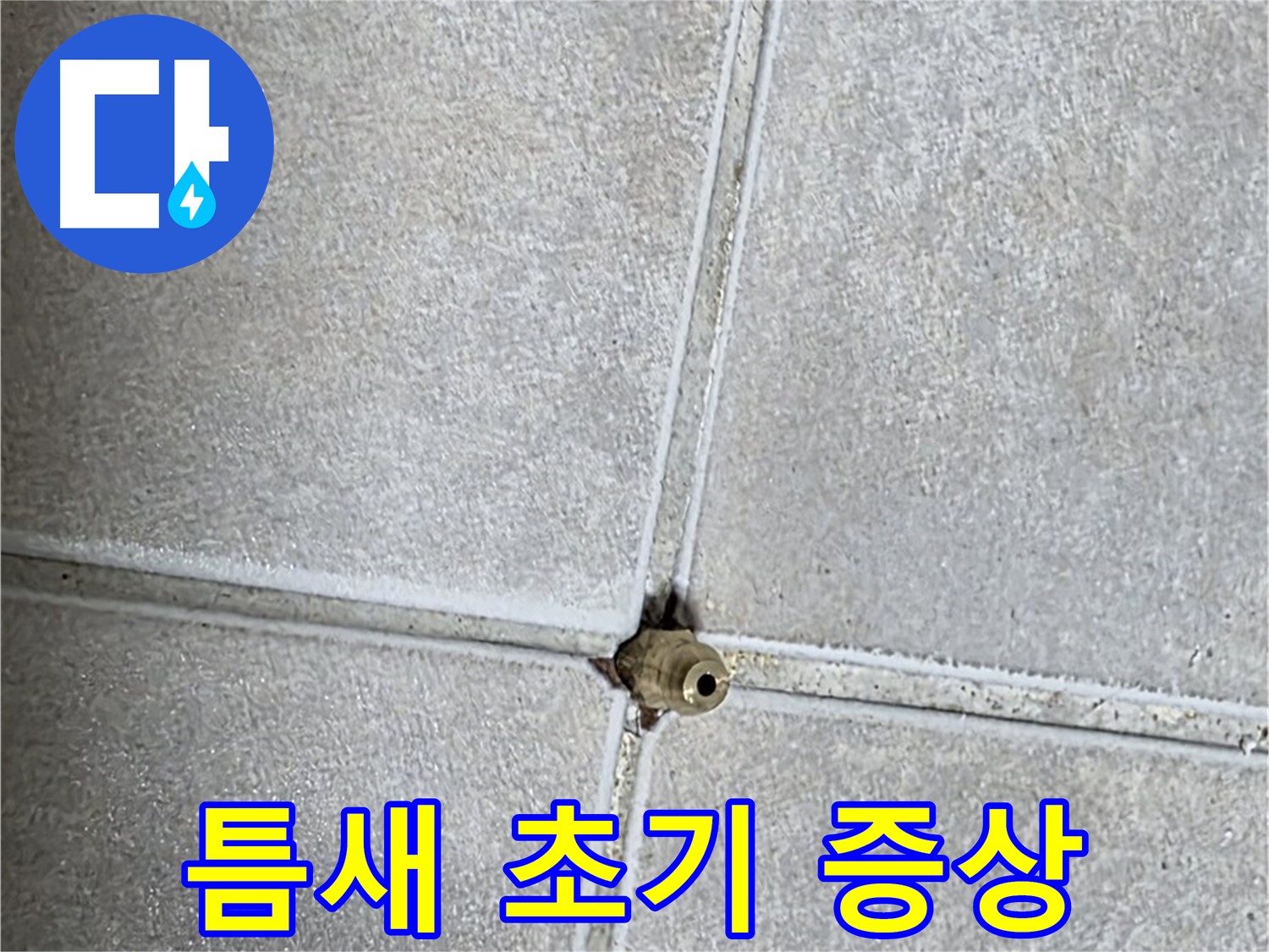 양주 옥정 율정마을 아파트 누수 - 욕실 타일 틈새, 설마 누수 초기 증상일 수도 있다?!