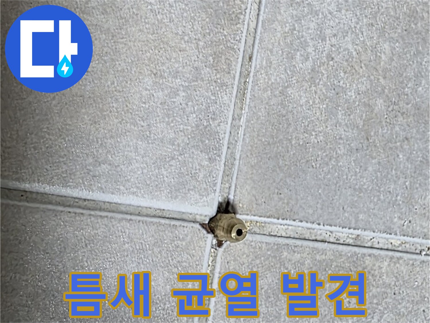 양주 옥정 율정마을 아파트 누수 - 타일 틈새에 숨은 미세한 균열을 발견하고 누수 원인을 파악합니다.
