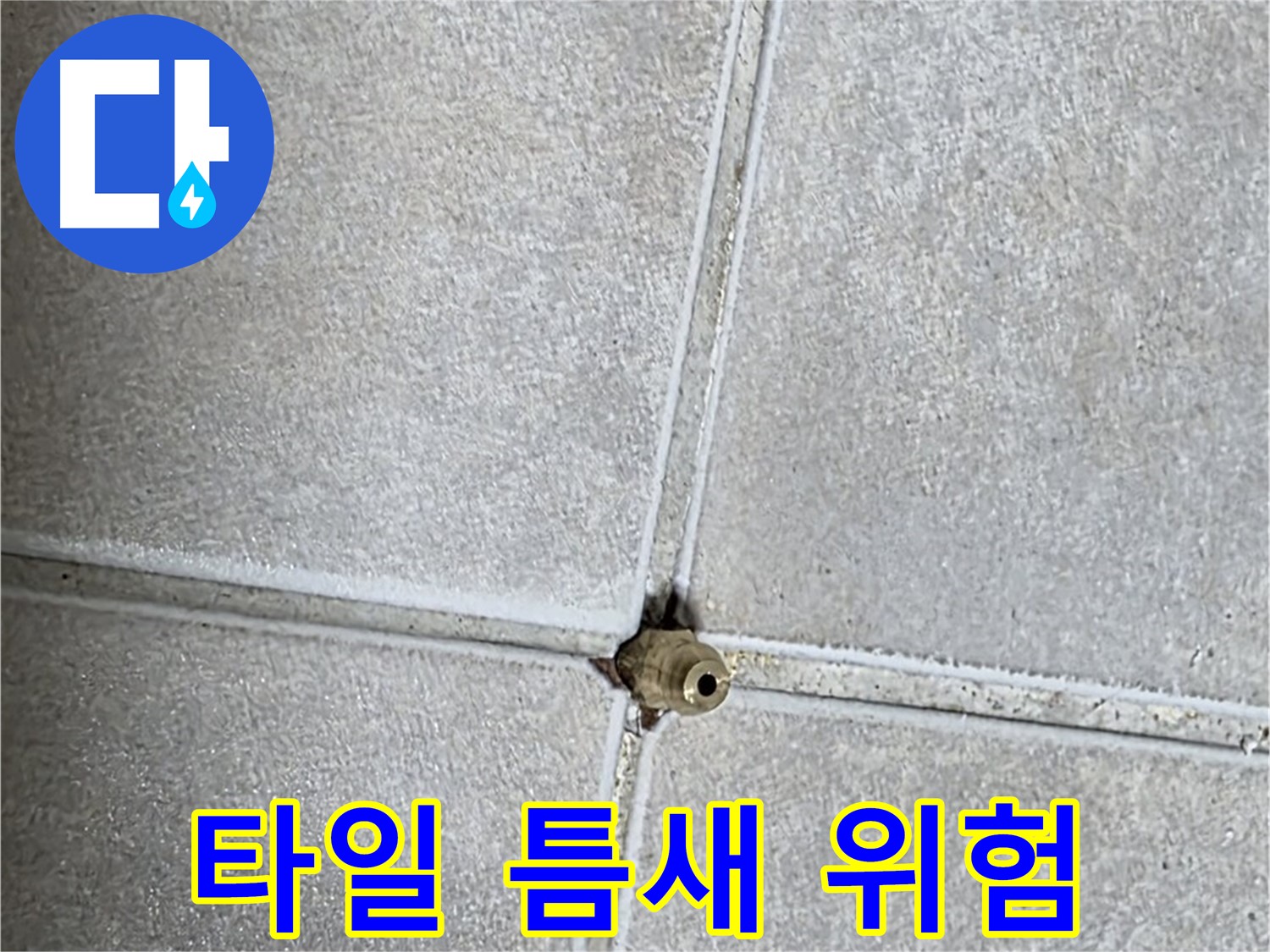 양주 옥정 율정마을 아파트 욕실 누수 - 타일 틈새의 작은 구멍이 가져올 수 있는 위험성을 경고합니다.