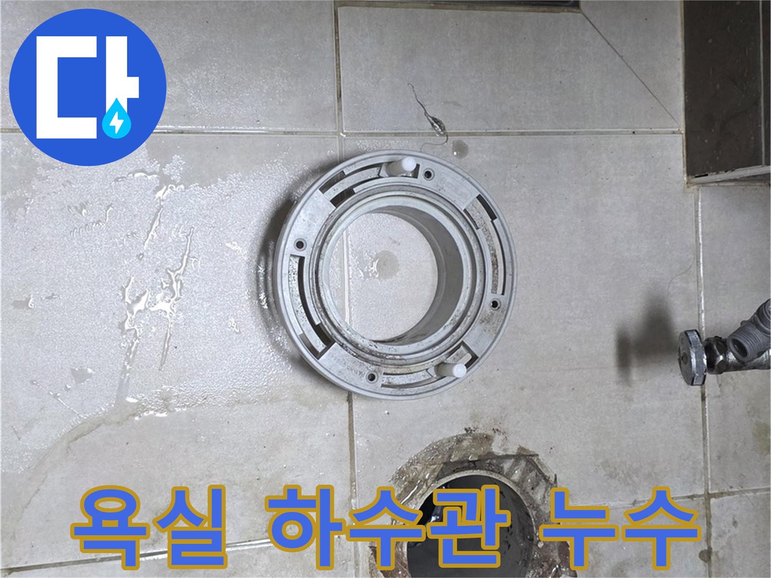 양주 옥정 율정마을 아파트 욕실 하수관 누수 - 누수 전문가의 완벽한 해결