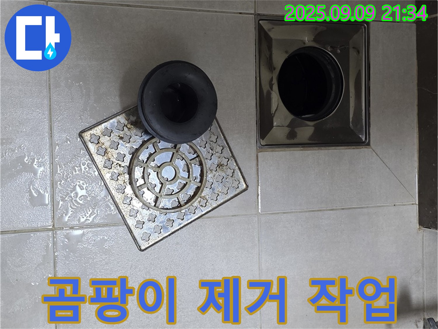 양주 옥정동 누수 - 율정마을 13단지 1309동 욕실 배수구 주변 곰팡이 제거 작업 - 꼼꼼하게 제거하여 쾌적한 환경을 만들어 드립니다.