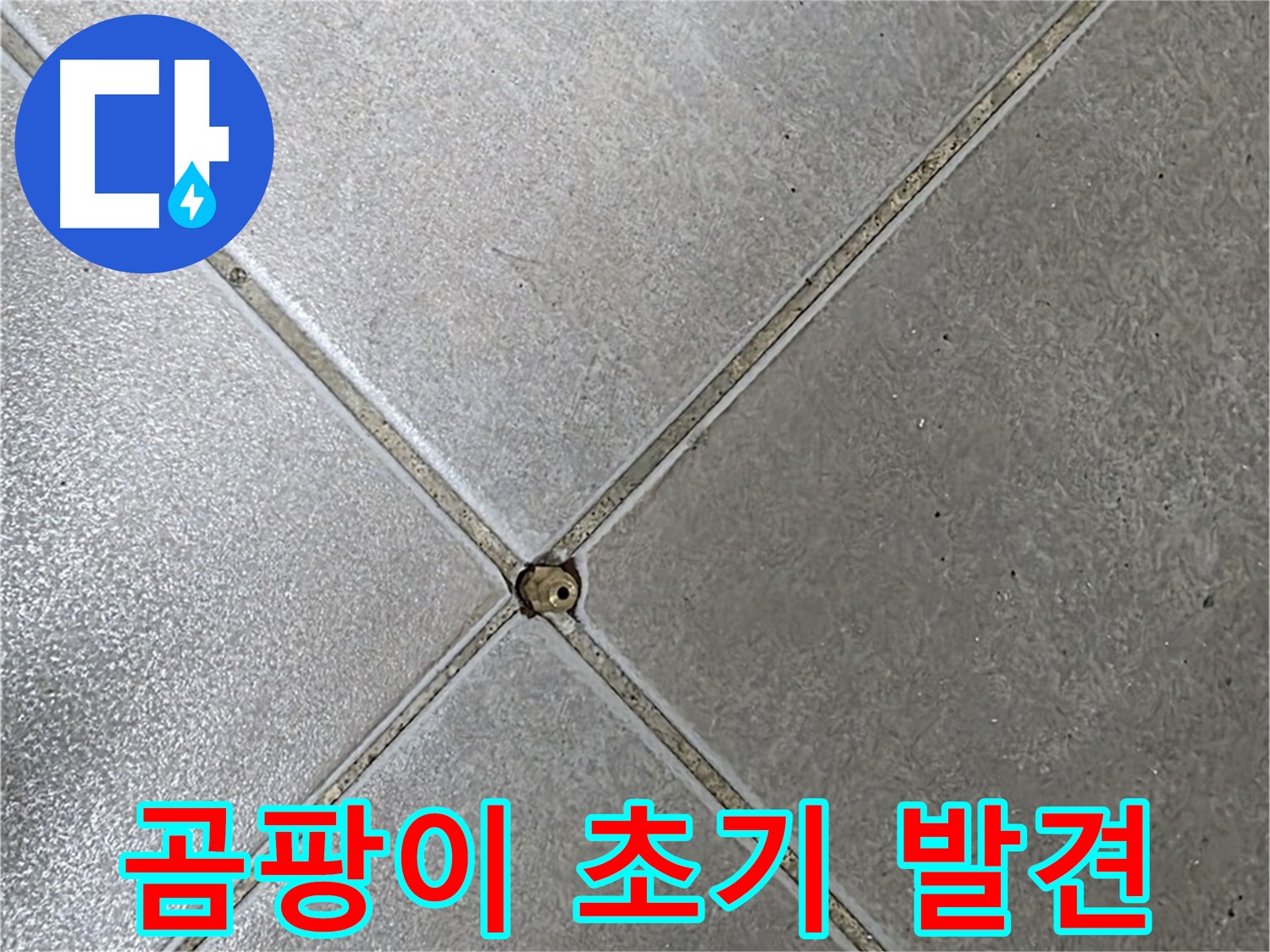 양주 옥정동 율정마을 13단지 아파트 타일 틈새 곰팡이 - 초기 발견 사진입니다.
