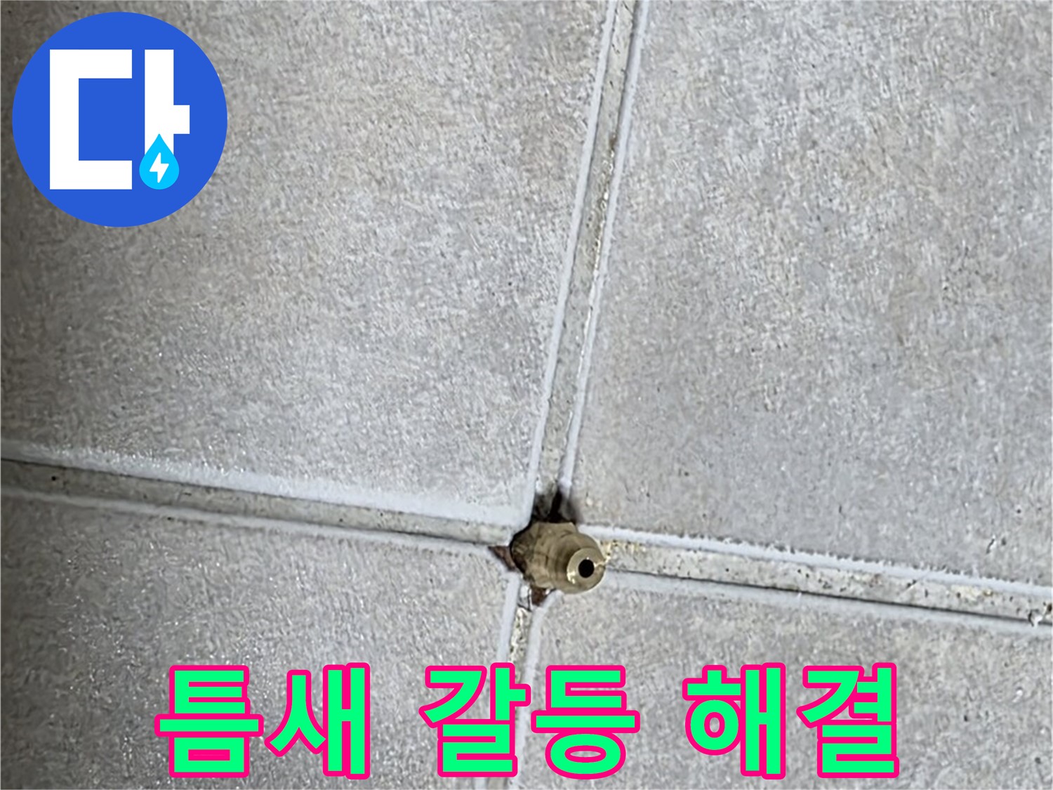 양주 옥정동 율정마을 아파트 누수 - 타일 틈새 누수, 완벽하게 해결하고 이웃 간의 갈등을 종식시켰습니다!