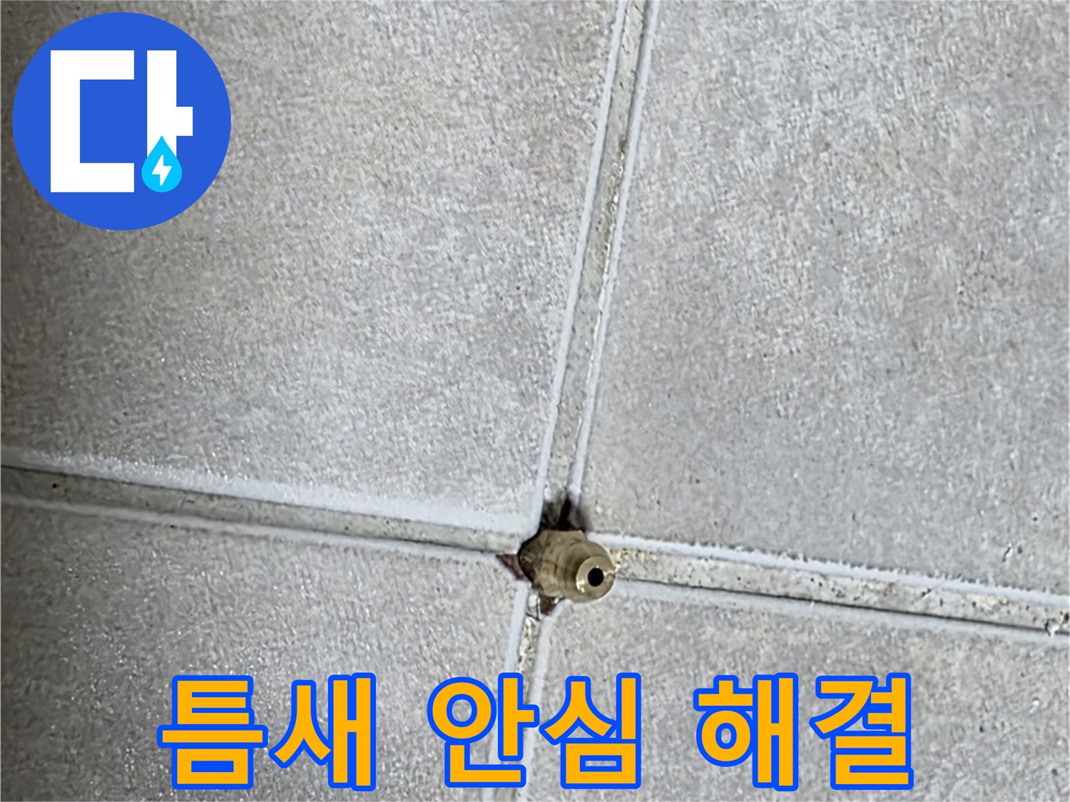 양주 옥정동 율정마을 아파트 누수 - 타일 틈새 누수, 이제 안심하세요! 완벽 해결을 보장합니다.