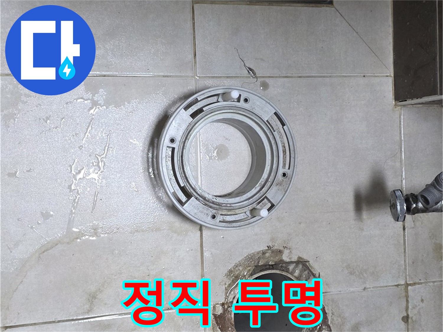 양주 옥정동 율정마을 아파트 변기 하수구 누수 - 정직한 견적, 투명한 시공 약속