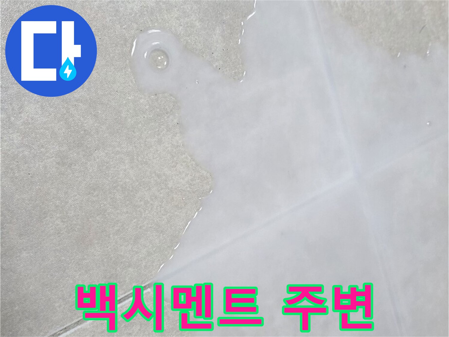 양주 옥정동 율정마을 아파트 타일 틈새 백시멘트 주변 물 - 누수 진단 및 보수