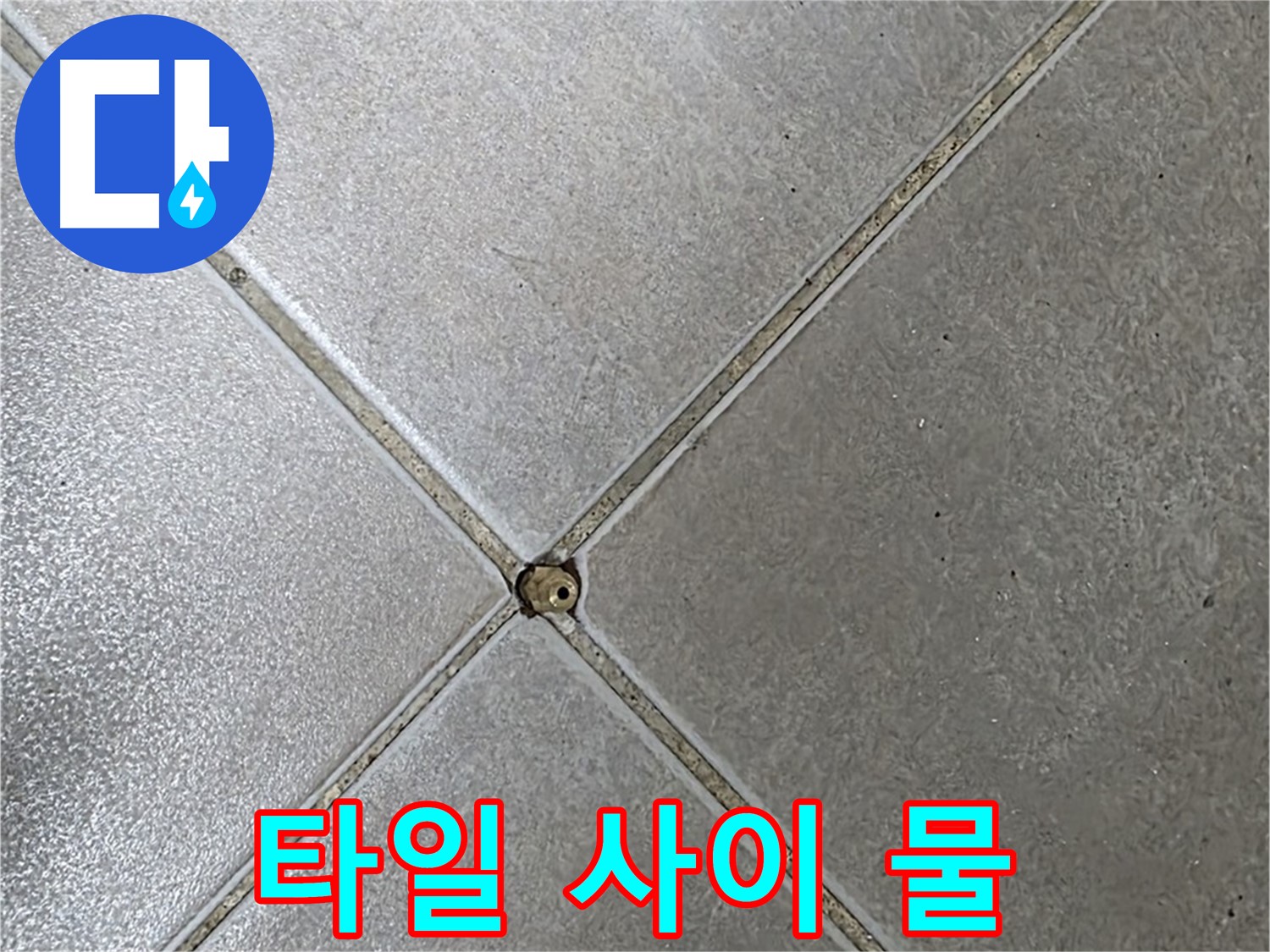 양주 율정마을 아파트 타일 사이 물 - 누수 의심 시 누수탐지 전문가에게 문의하세요.