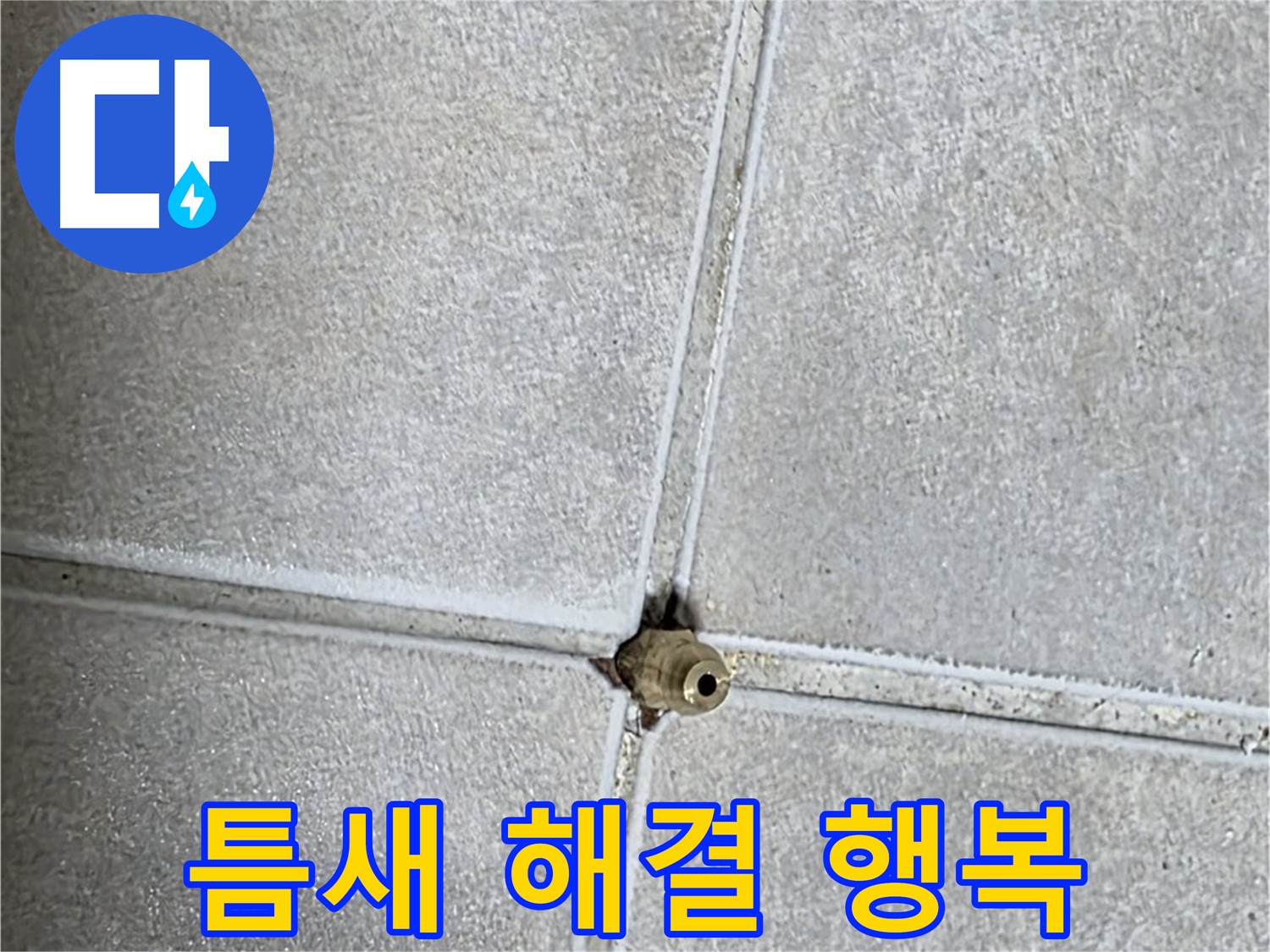 옥정 율정마을 아파트 누수 - 타일 틈새 구멍으로 인한 누수 문제, 완벽 해결 후 행복한 생활을 되찾으세요!