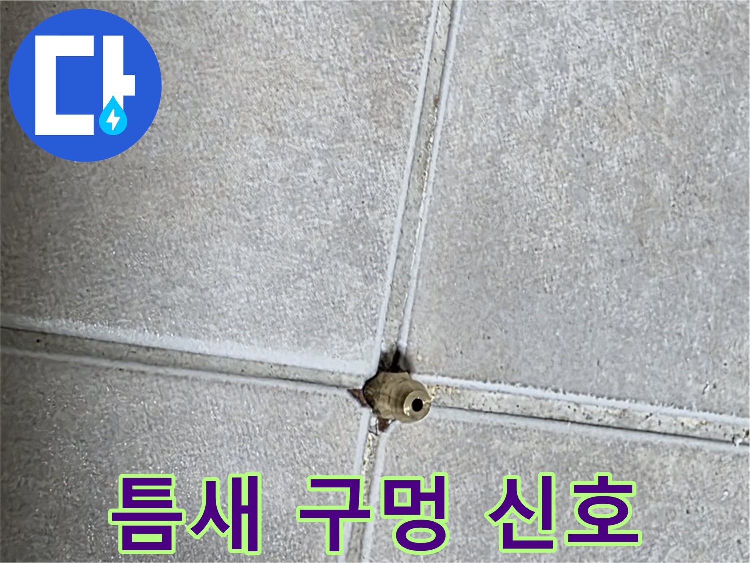 옥정 율정마을 아파트 누수 - 타일 틈새의 작은 구멍, 누수의 신호일 수 있으니 주의 깊게 살펴보세요.