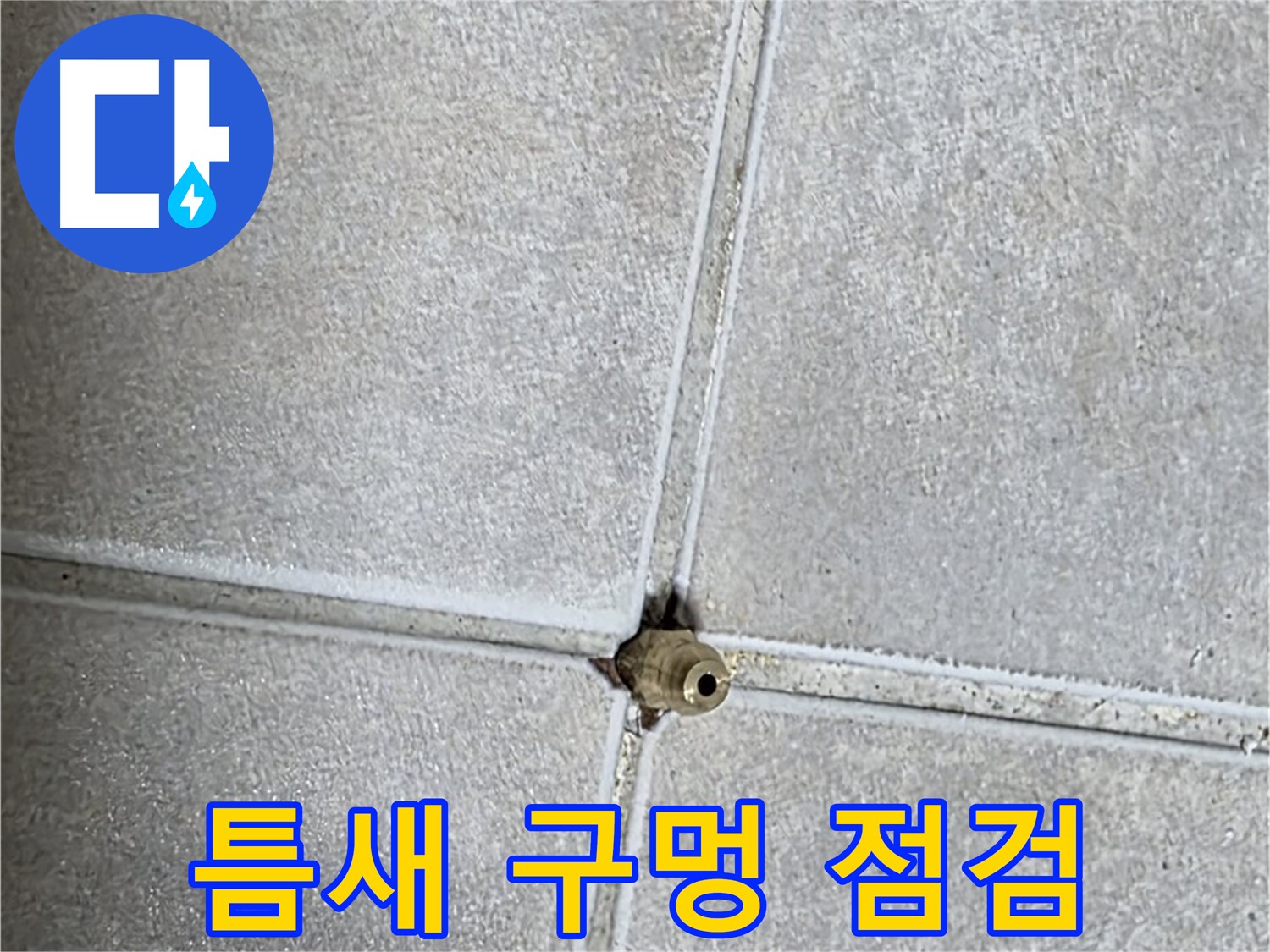 옥정 율정마을 아파트 누수 - 타일 틈새의 작은 구멍, 방심하지 말고 꼼꼼하게 점검해야 합니다.
