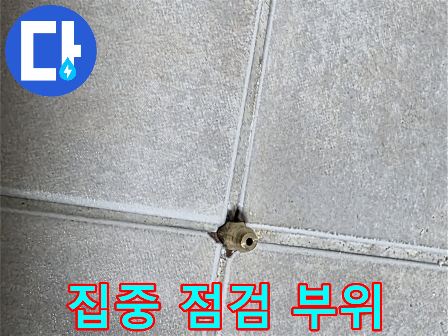 옥정 율정마을 아파트 바닥 누수 - 누수 탐지 후 문제 부위를 집중적으로 점검하는 모습입니다.