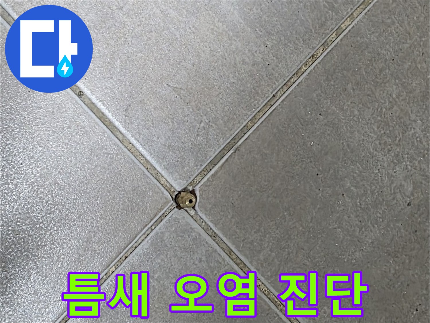 옥정 율정마을 아파트 타일 틈새 오염 - 누수 전문가가 정확하게 진단해 드립니다.