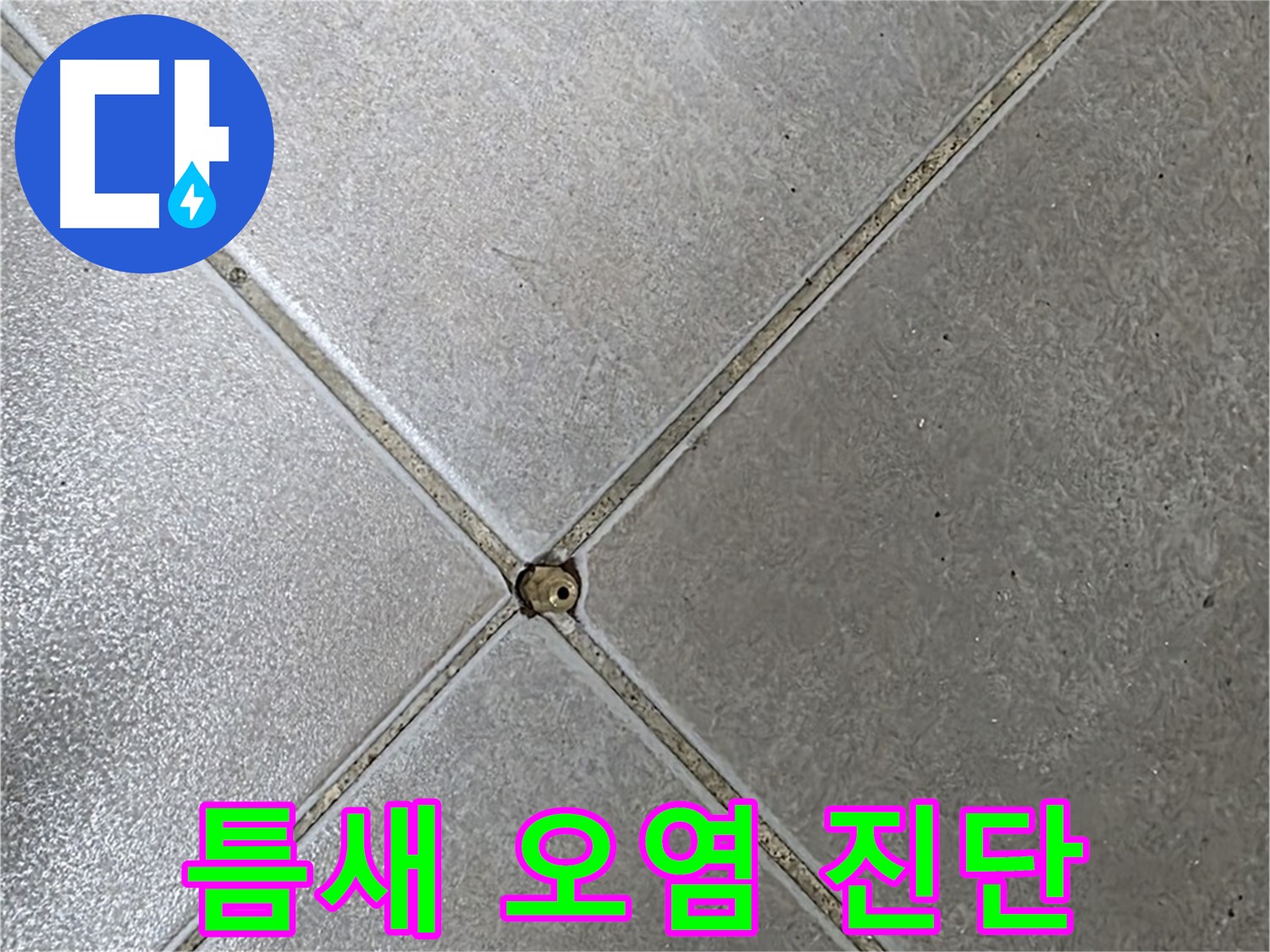 옥정 율정마을 아파트 타일 틈새 오염 - 누수 전문가가 정확하게 진단해 드립니다.