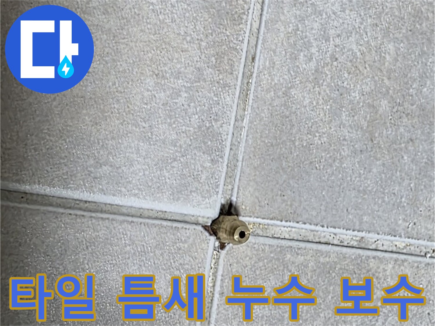 옥정 율정마을 아파트 화장실 타일 틈새 누수 보수 작업 - 꼼꼼한 시공으로 누수를 완벽하게 해결합니다.