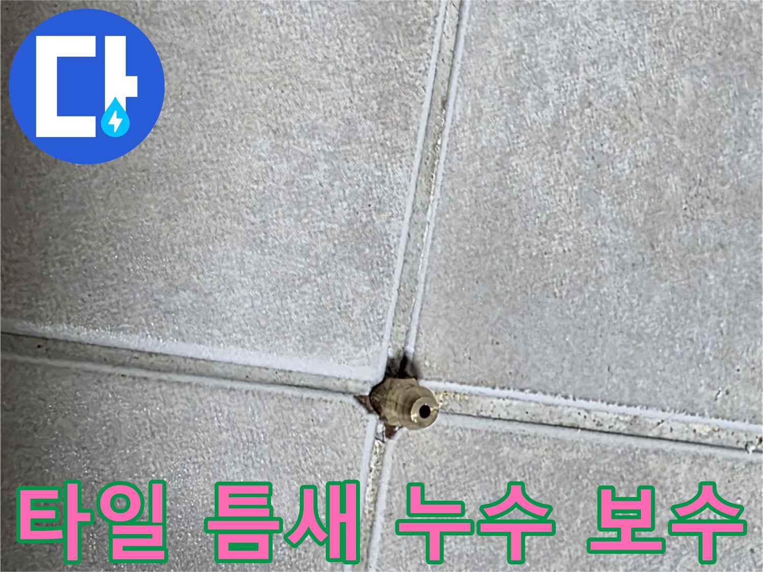 옥정 율정마을 아파트 화장실 타일 틈새 누수 보수 작업 - 꼼꼼한 시공으로 누수를 완벽하게 해결합니다.