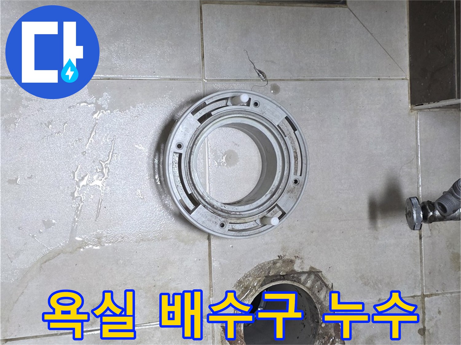 옥정동 율정마을 아파트 욕실 배수구 주변 누수 - 누수 원인 진단 및 완벽 보수