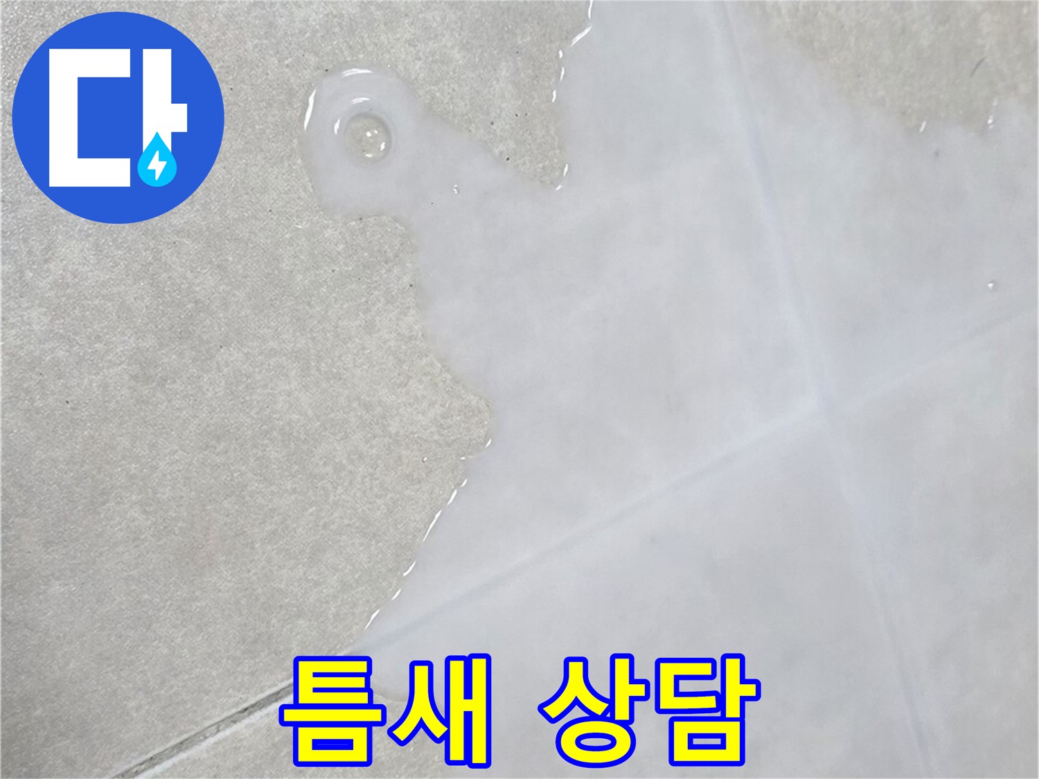 옥정신도시 율정마을 아파트 타일 틈새 물 - 초기 점검 및 전문적인 상담