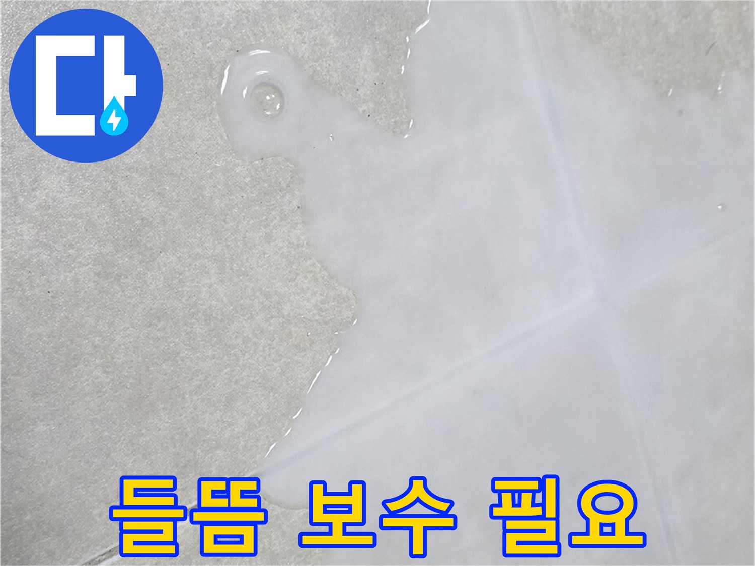 옥정신도시 율정마을 아파트 타일 틈새 백시멘트 들뜸 - 긴급 점검 및 보수 필요