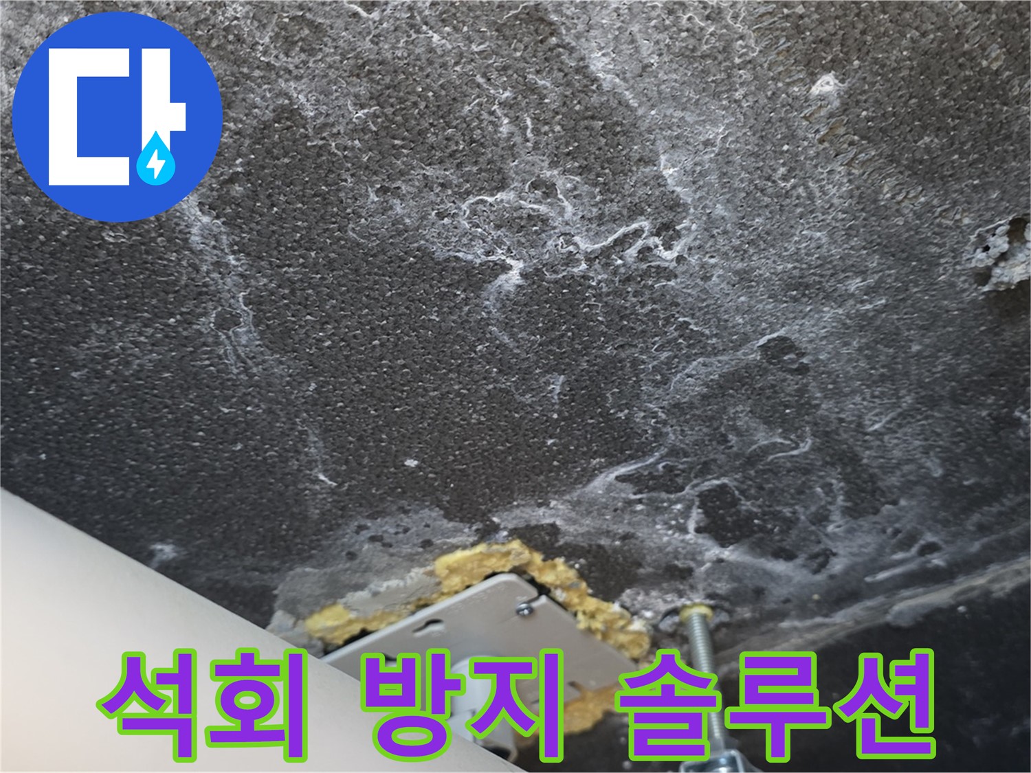 동패동 아파트 누수 - 천장 누수 석회 방지 맞춤 솔루션 제공