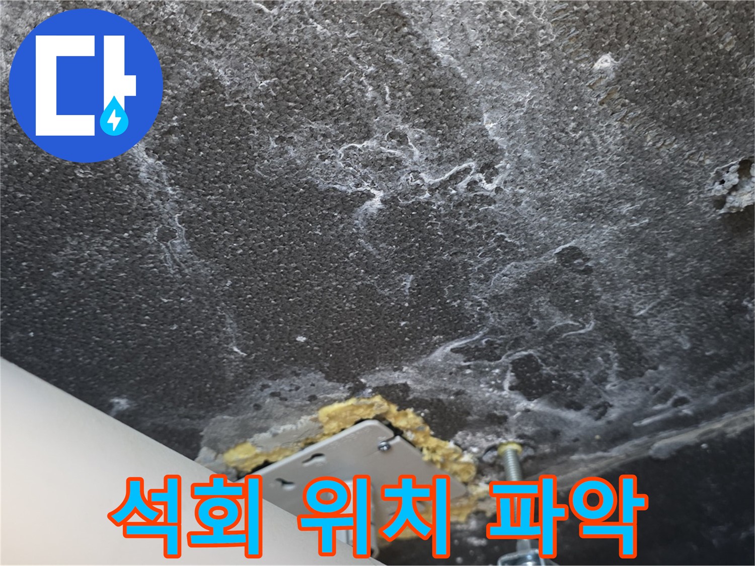 동패동 아파트 천장 누수 석회 - 정확한 누수 위치 파악