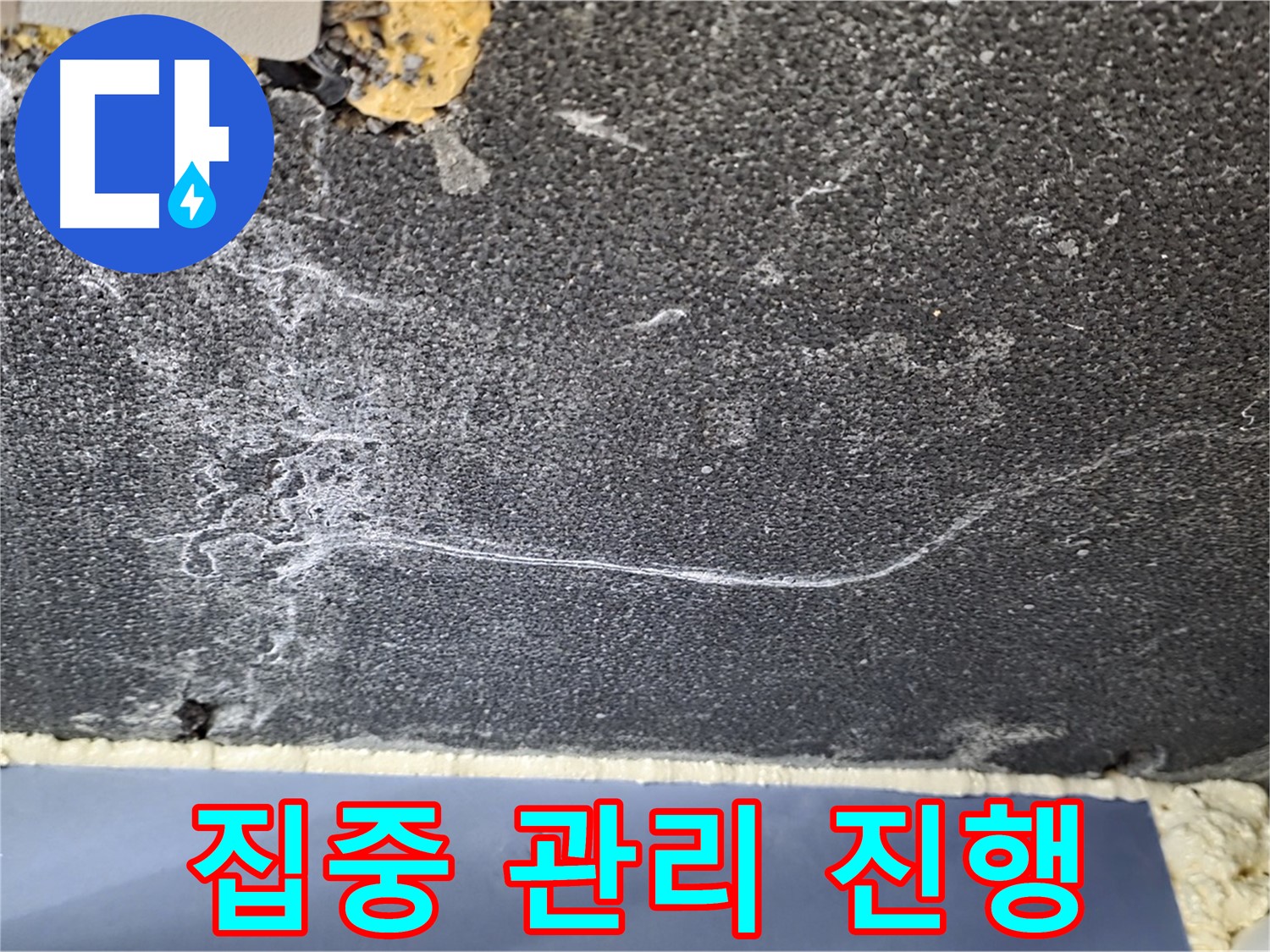동패동 천장 누수 - 운정어반프라임 곰팡이 발생 부위 집중 관리
