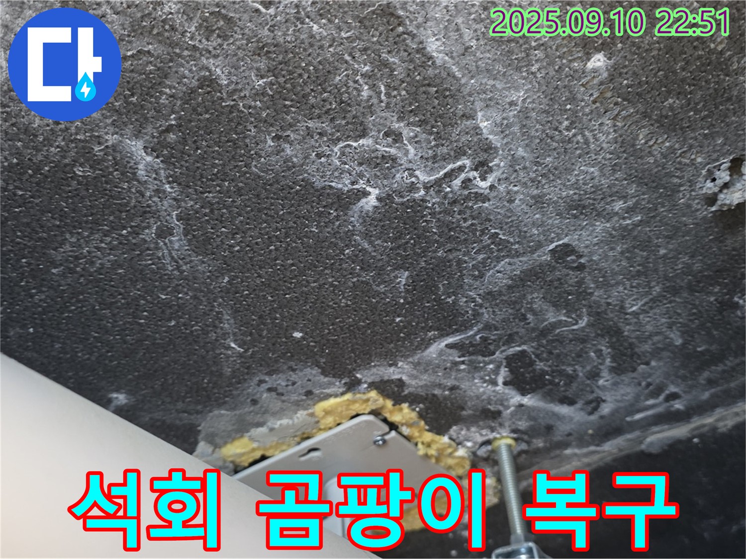 석회와 곰팡이 피해 복구 작업을 진행 중인 천장 사진 - 꼼꼼하게 복구하여 새것처럼 만들어 드리겠습니다.