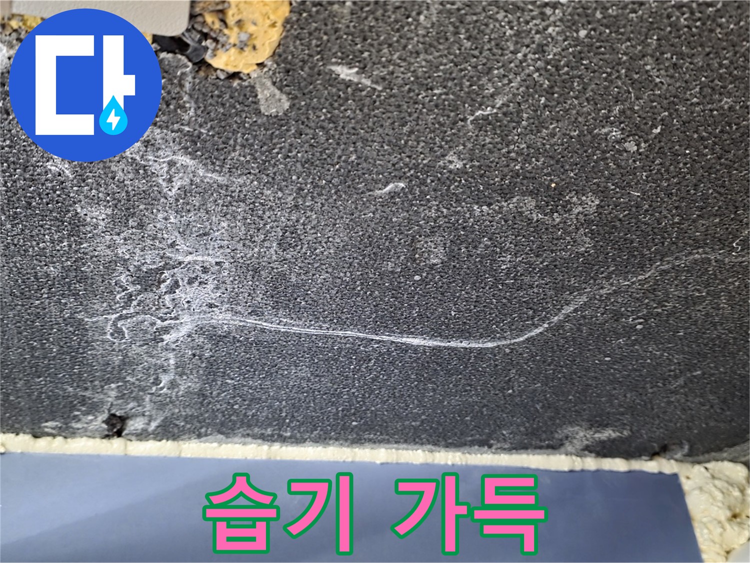 운정 아파트 천장 누수 - 습기 가득한 천장, 누수 발생 초기 단계 진단