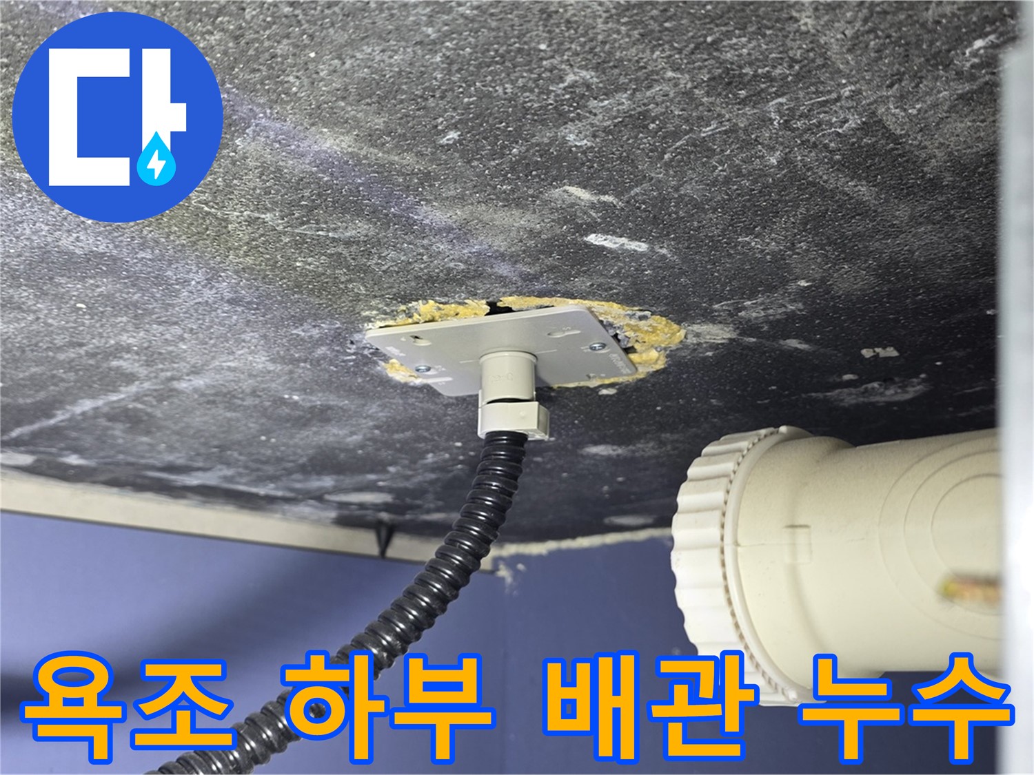 운정어반프라임 욕조 하부 누수 - 배관 연결부에서 누수 발생 확인