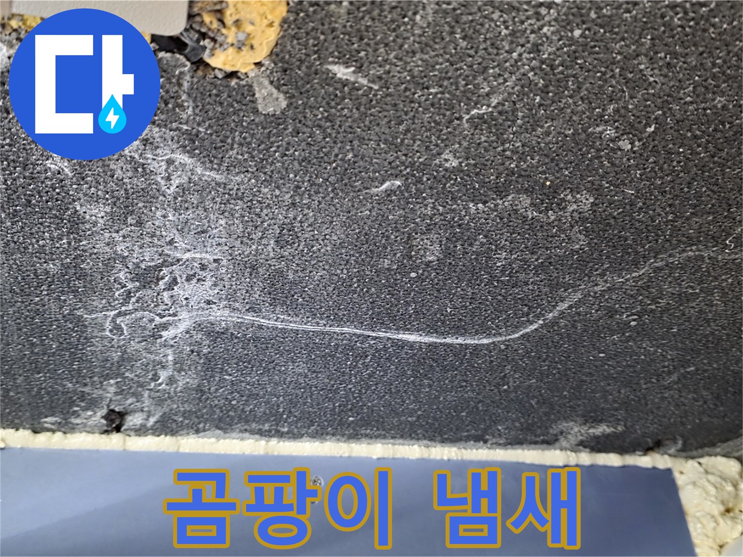 파주 동패동 아파트 천장 누수 - 곰팡이 냄새 확인, 범위 탐색