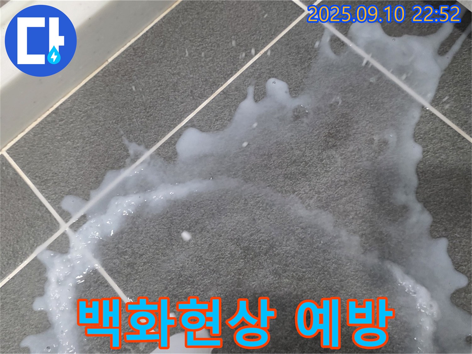 파주 동패동 아파트 타일 백화현상 해결 및 누수 예방 - 누수 탐지부터 백화현상 제거까지 모든 과정을 상세히 보여드립니다.