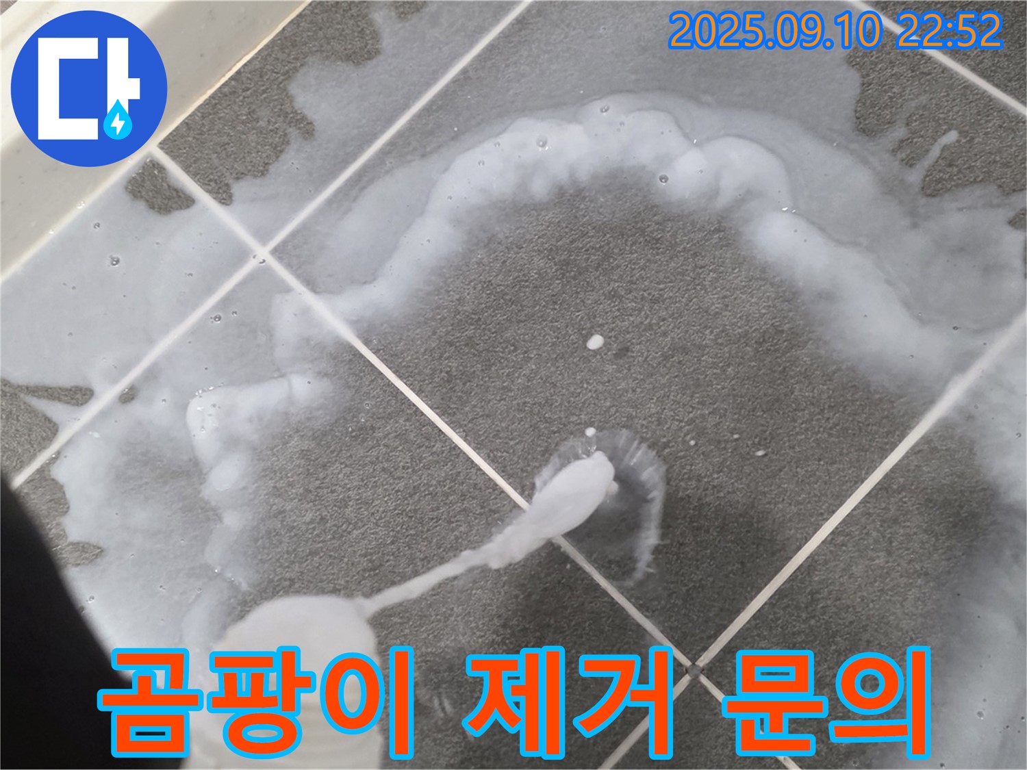파주 운정어반프라임 곰팡이 제거 문의 - 곰팡이, 궁금한 점은 언제든지 문의하세요!