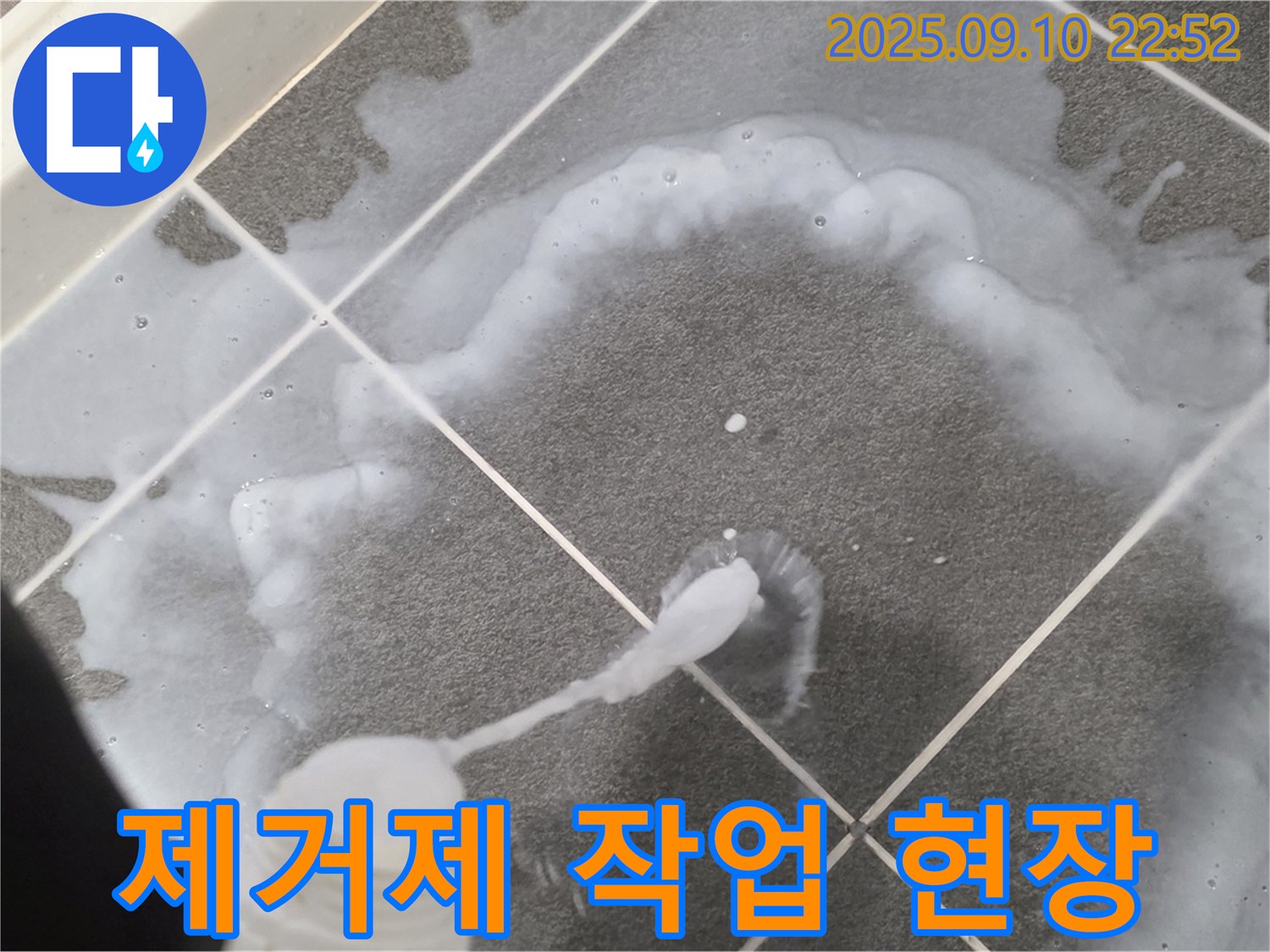 파주 운정어반프라임 제거제 작업 - 곰팡이, 깨끗하게 청소!