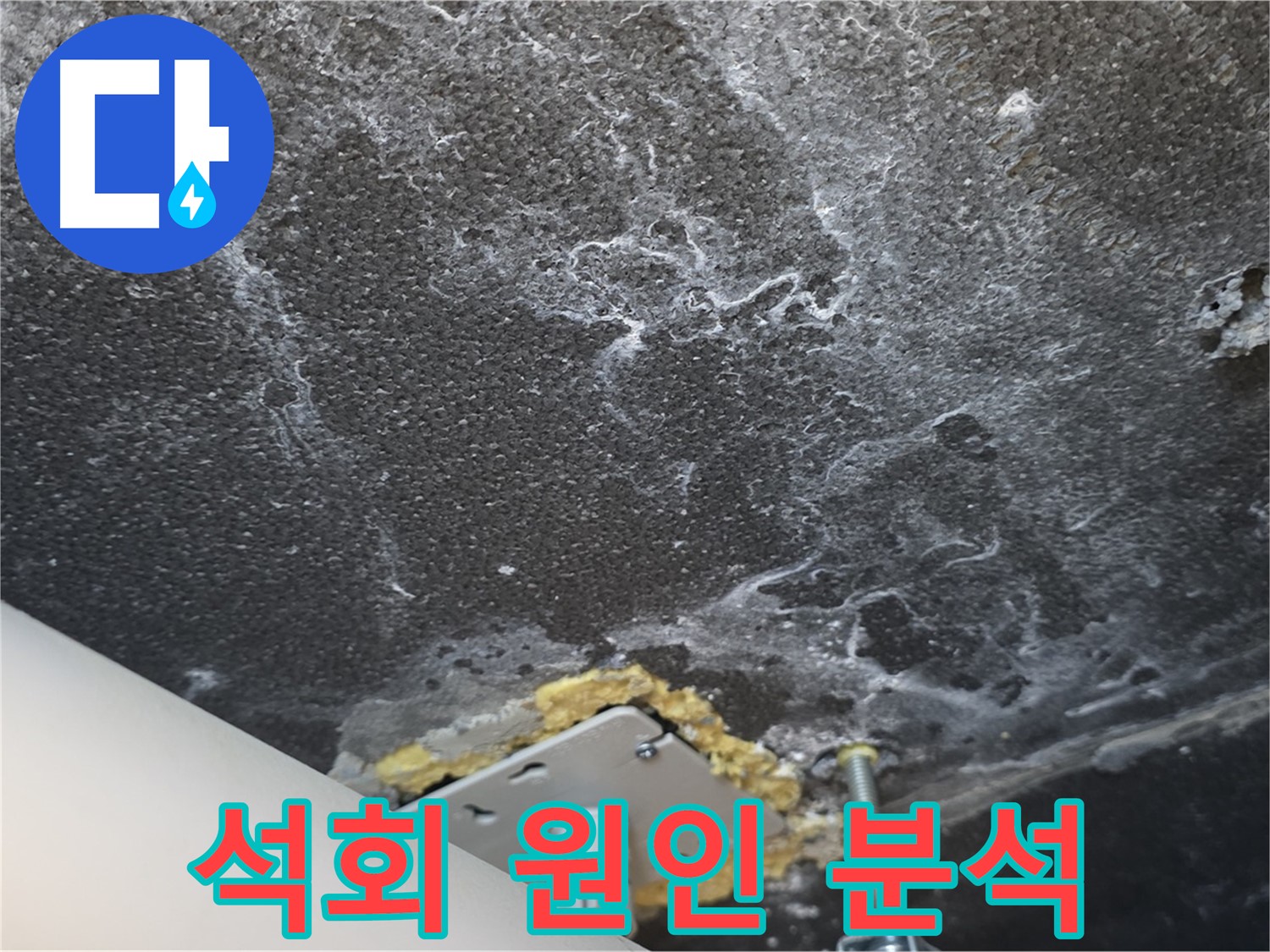 파주시 동패동 아파트 누수 - 천장 석회 누수 원인 정밀 분석 과정