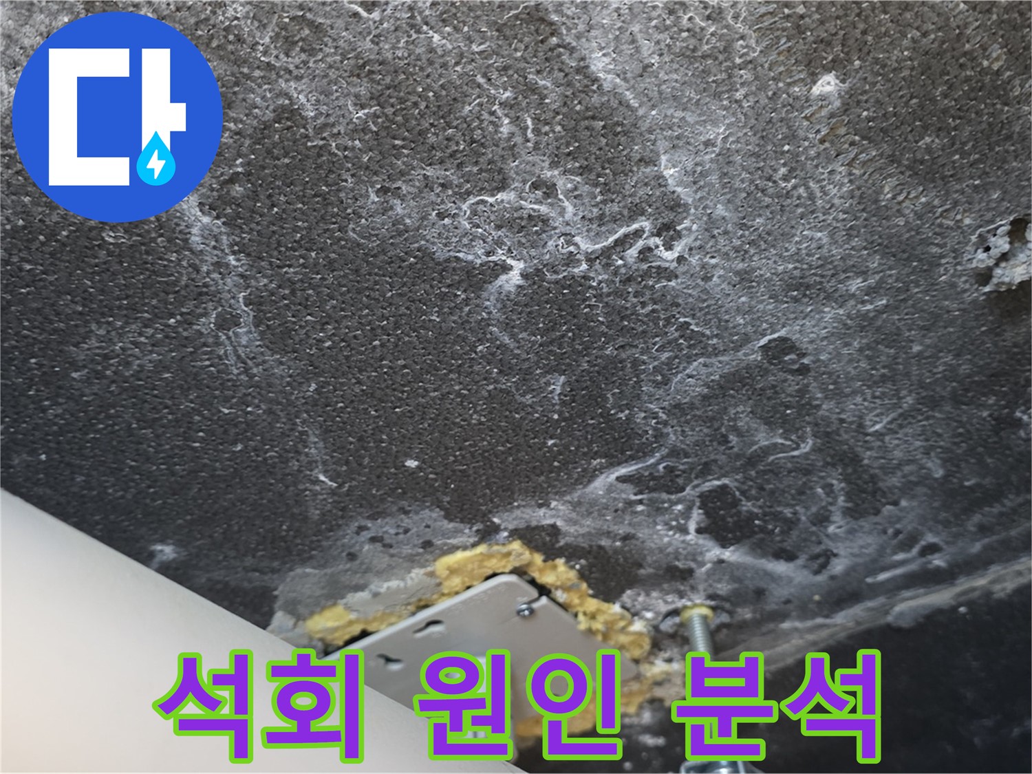 파주시 동패동 아파트 누수 - 천장 석회 누수 원인 정밀 분석 중