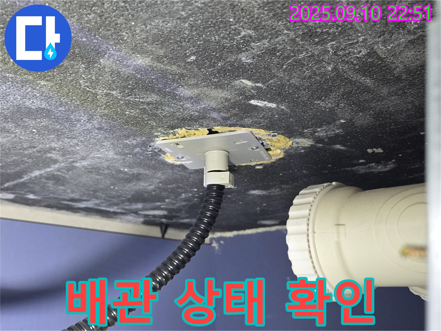 파주시 동패동 아파트 세면대 누수 - 배관 상태를 자세히 확인하는 모습 - 숙련된 기술로 문제점을 파악